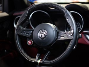 Alfa Romeo Stelvio Steering Wheel Trim - Carbon Fiber - Main Center Trim Piece - QV Model